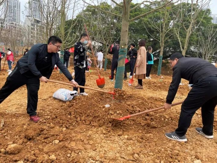 1647226174896997.jpg 圖片3.jpg